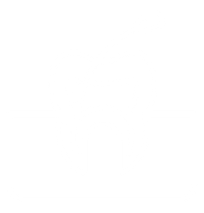 Dental Root Canal