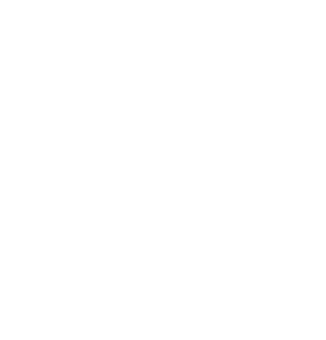 Orthodontic Treatment